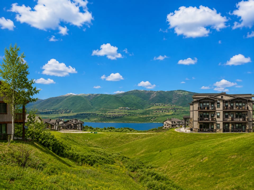 summer lake view