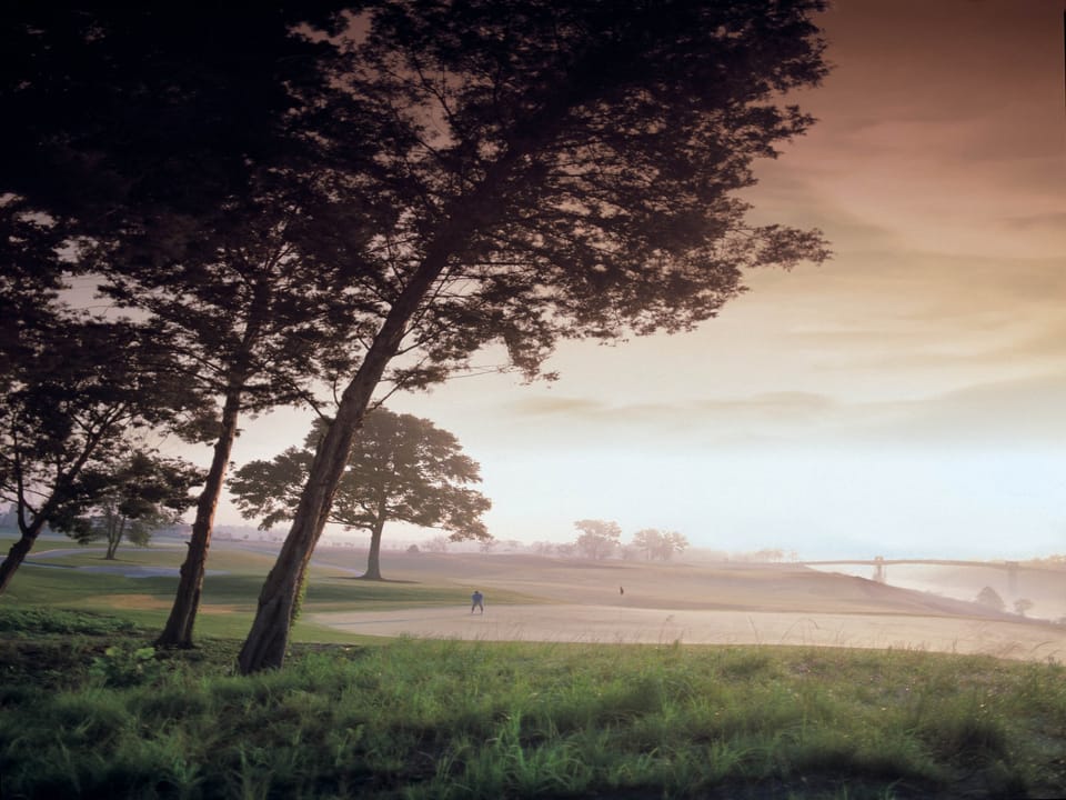 Field