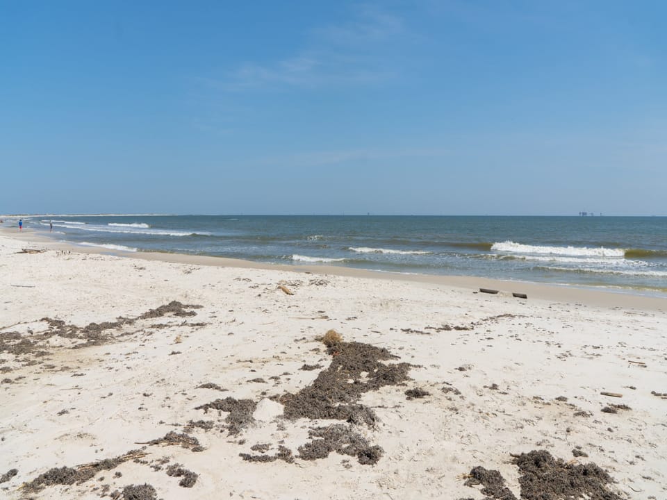 025 Palms 105 Beach