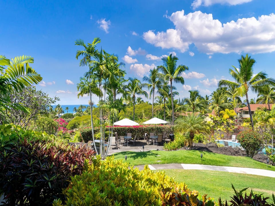 Watch the palm trees sway