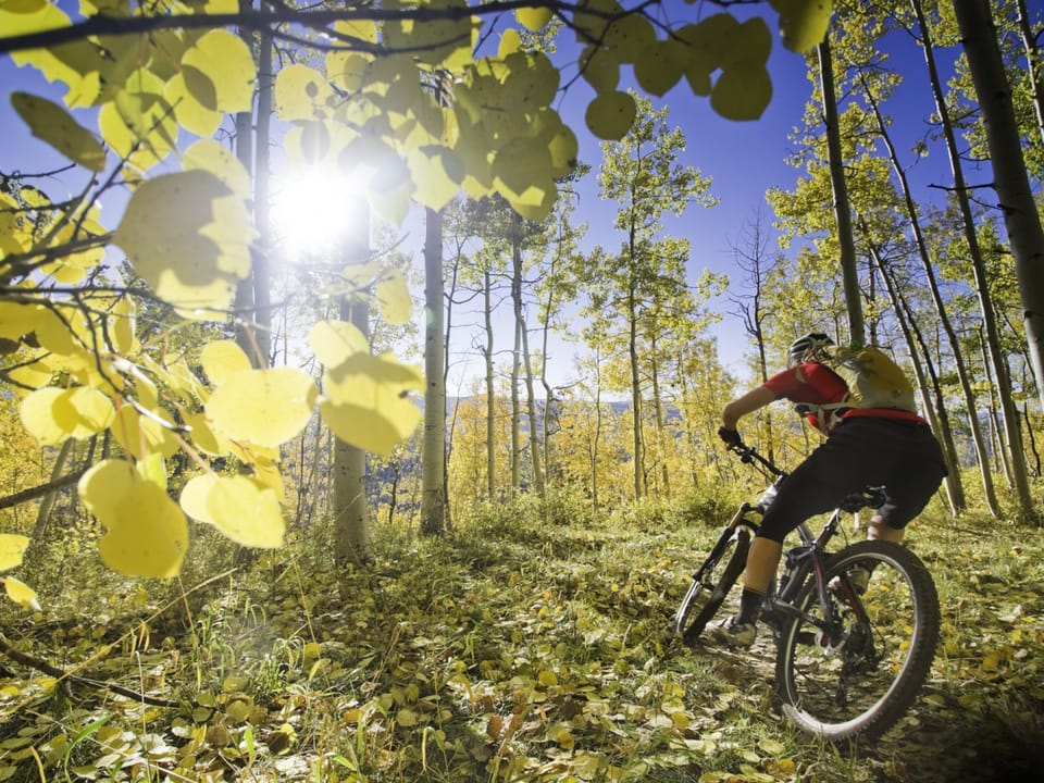Fantastic world renown mountain bike trails