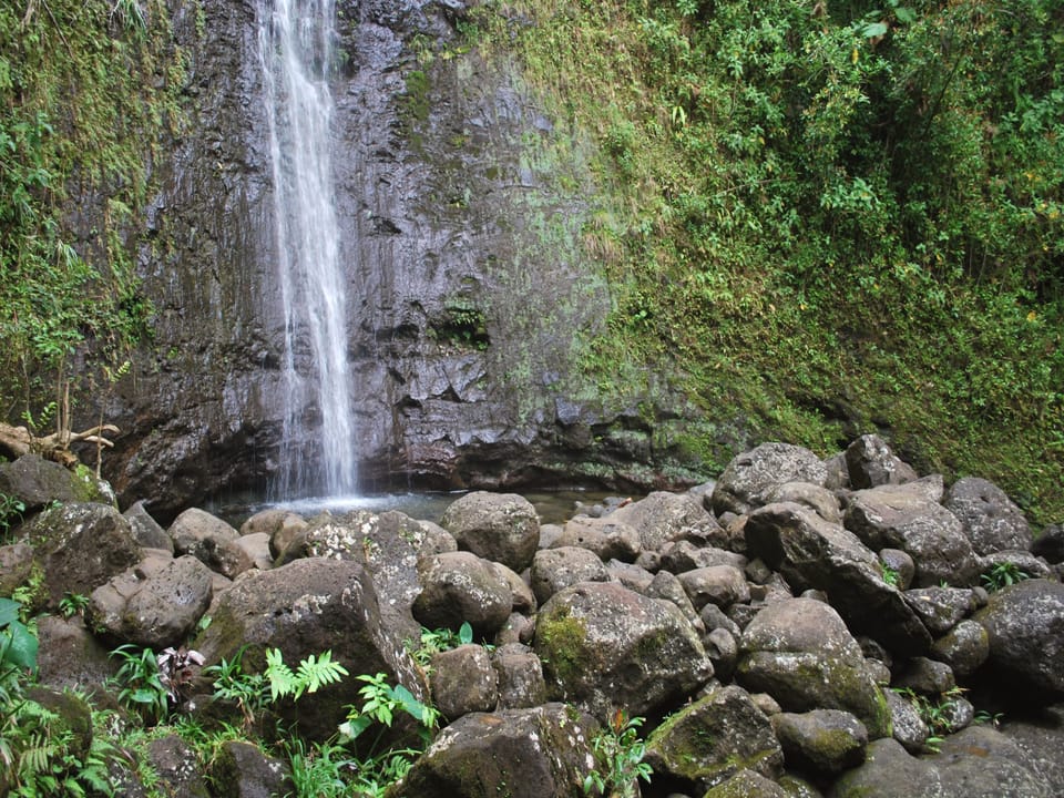 Nature