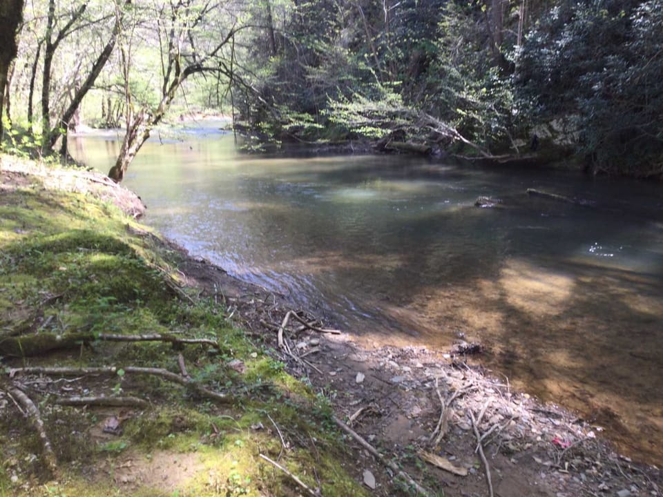 Description for photo 493