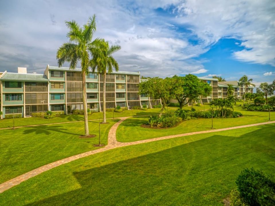 Loggerhead282View