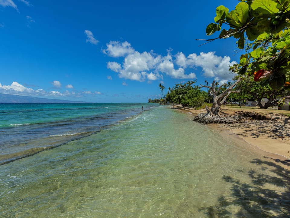 Oceanfront Property at Paki Maui