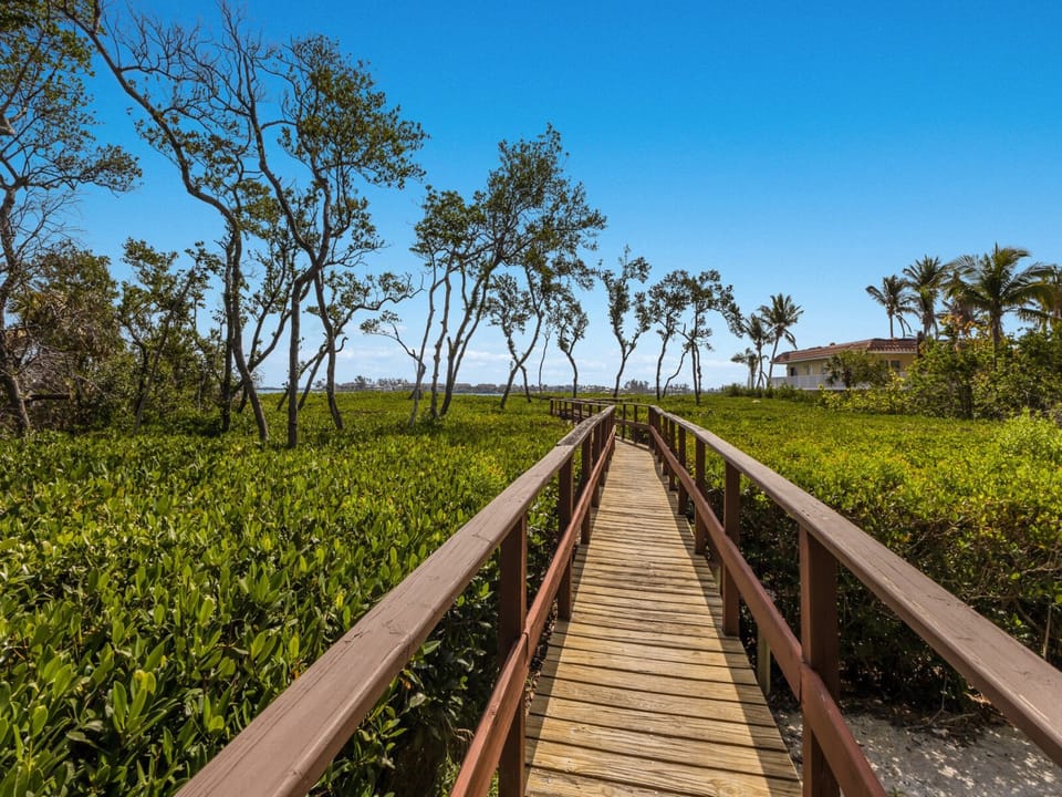Boardwalk