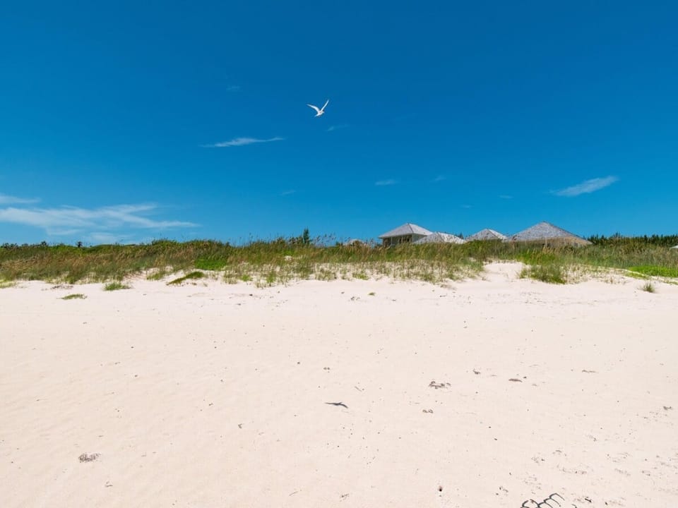 Our spectacular beach.  Walk for miles in either direction; you might see no one the entire time on our secluded beach.