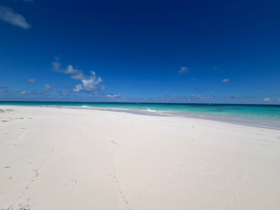 Our beach facing north.  A mile of pristine sand, deserted as usual.
