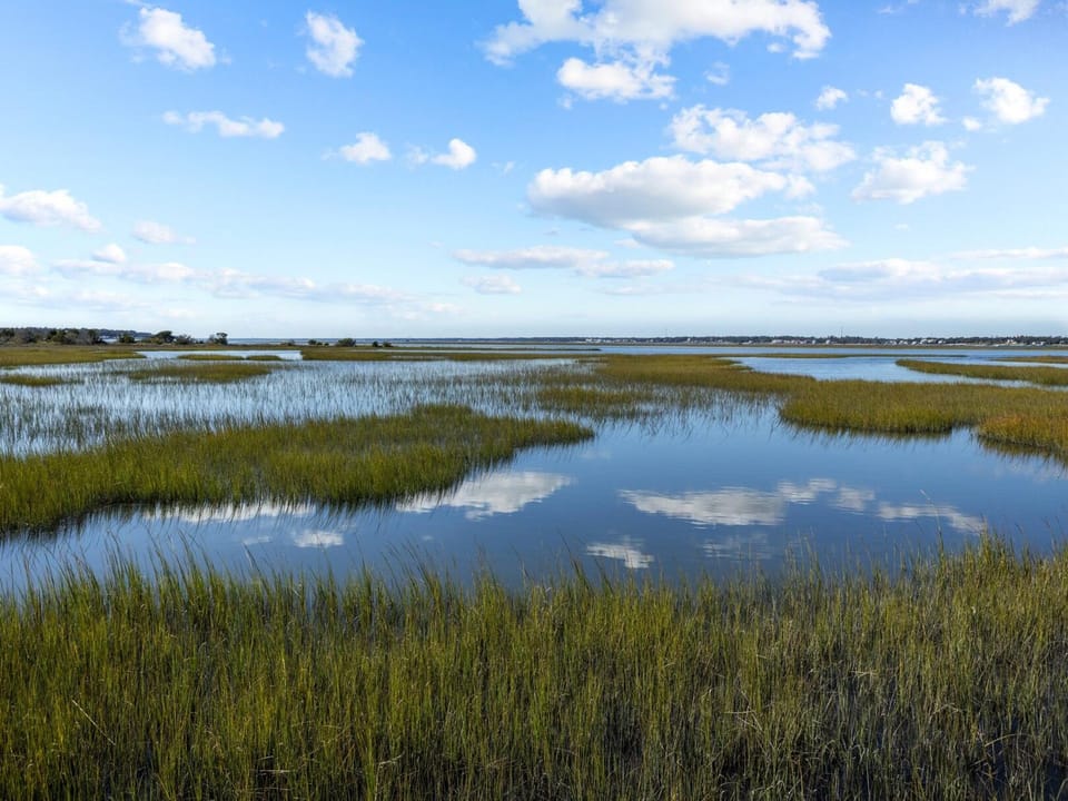 Marsh