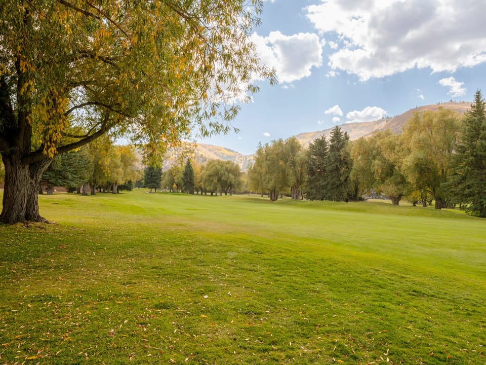 Park Avenue 256-1789 Golf course view from back patio