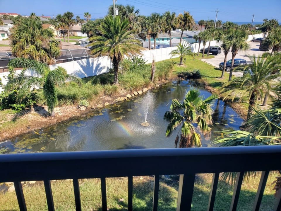 View from Balcony