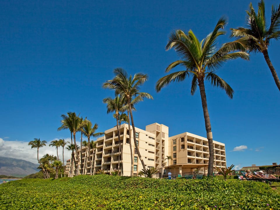 Complex from the beach