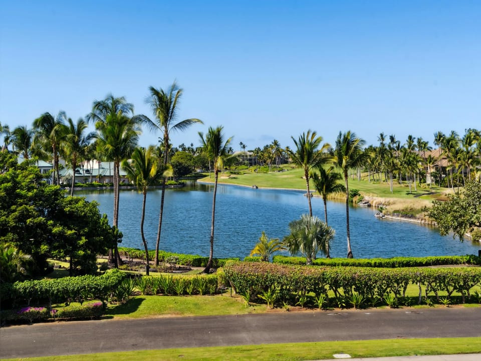 View from lanai