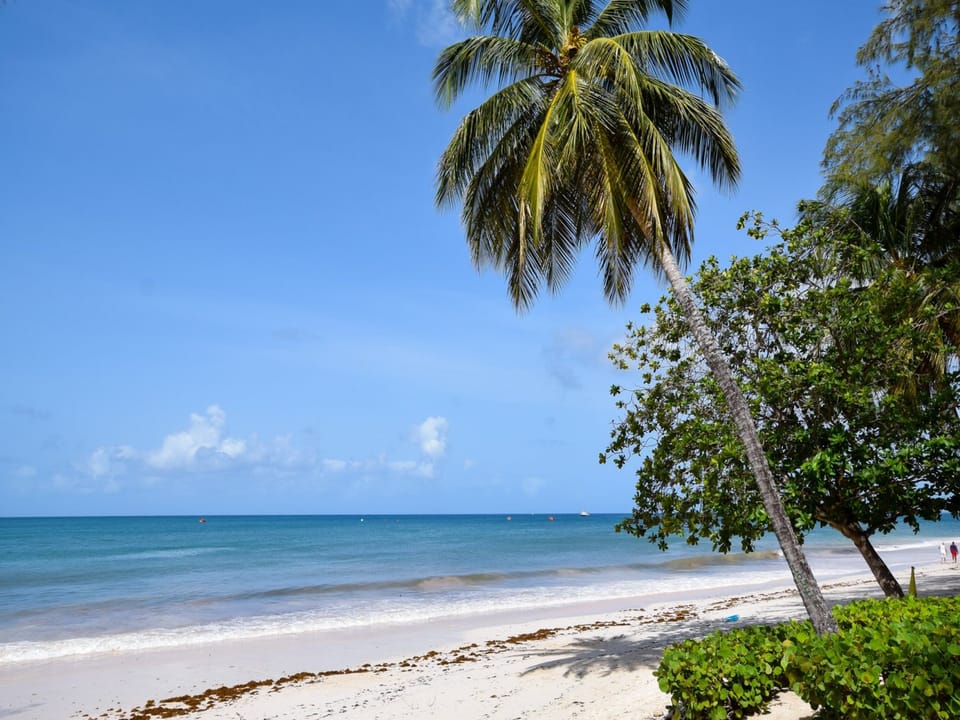 Miami Beach (next to Oistins) is also a fantastic beach for swimming and relaxing