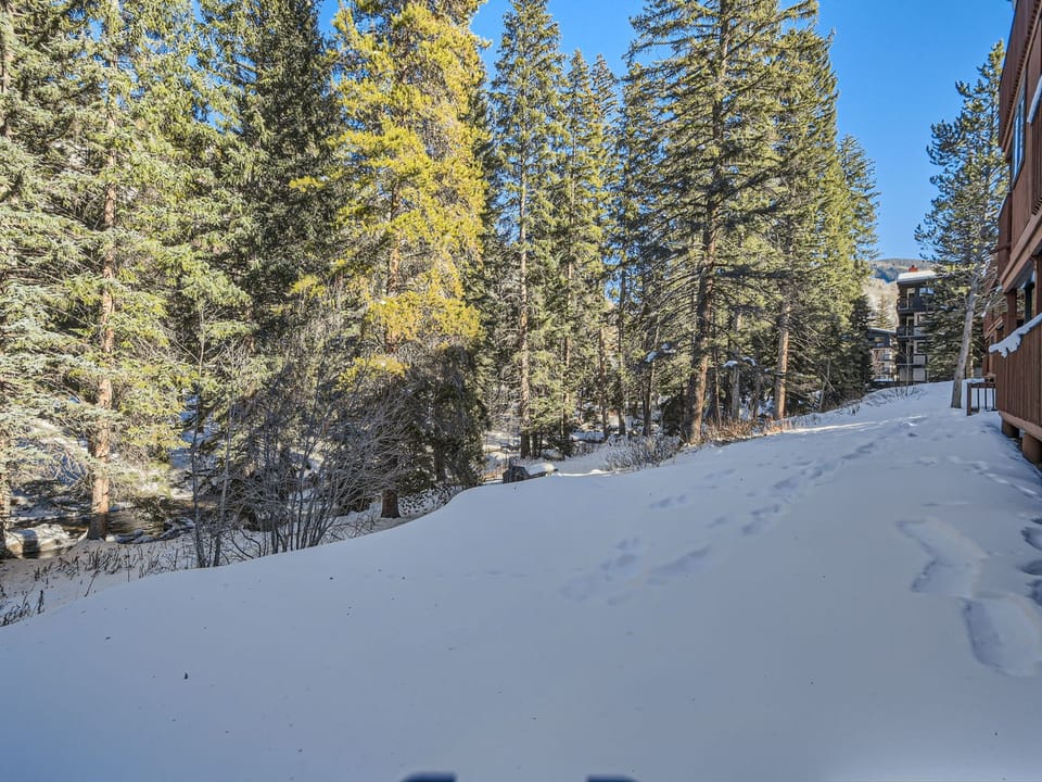 Views of Gore Creek