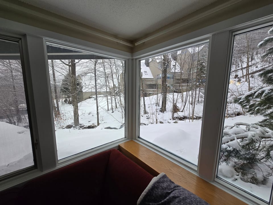 Window