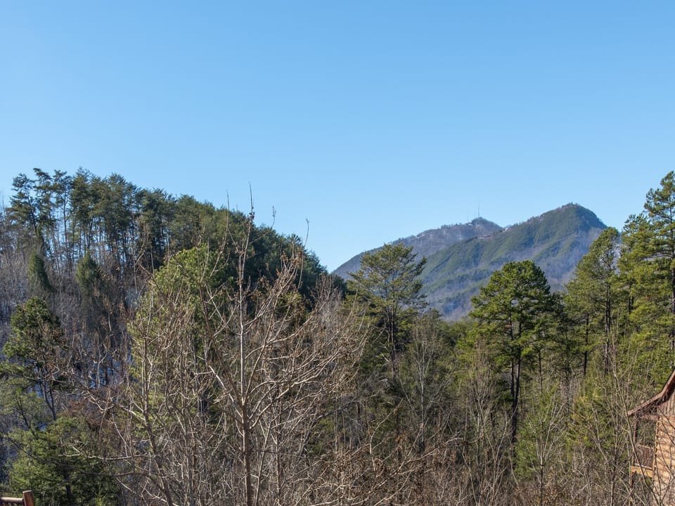View of Bluff Mountain