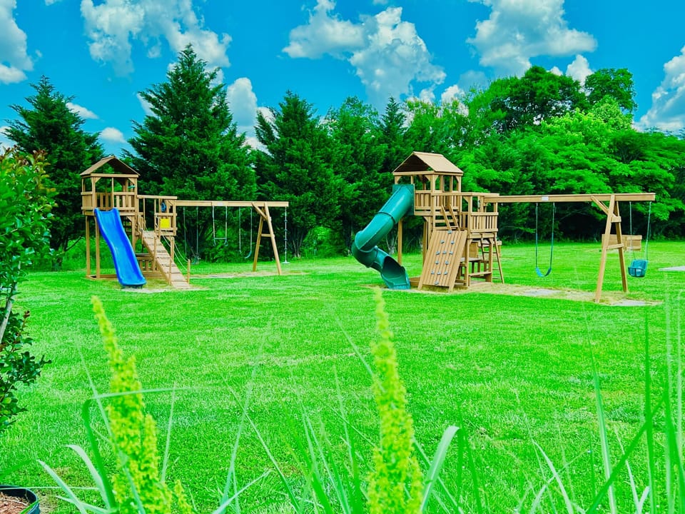 Grass