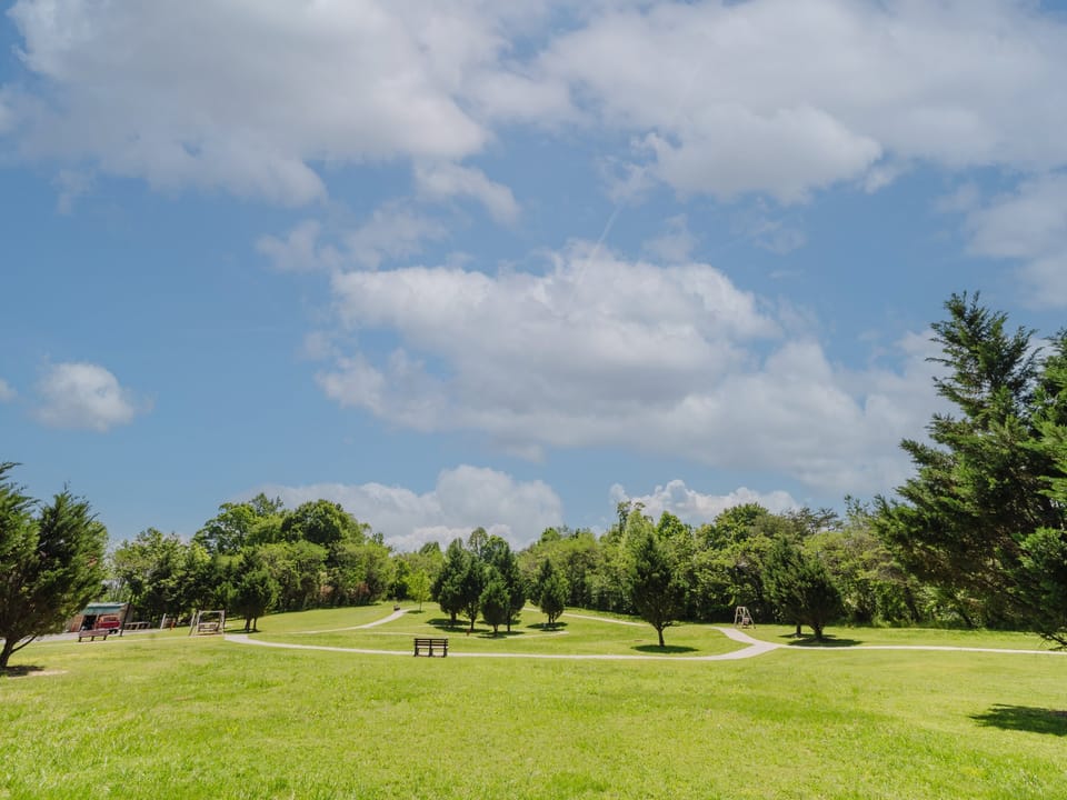 Field