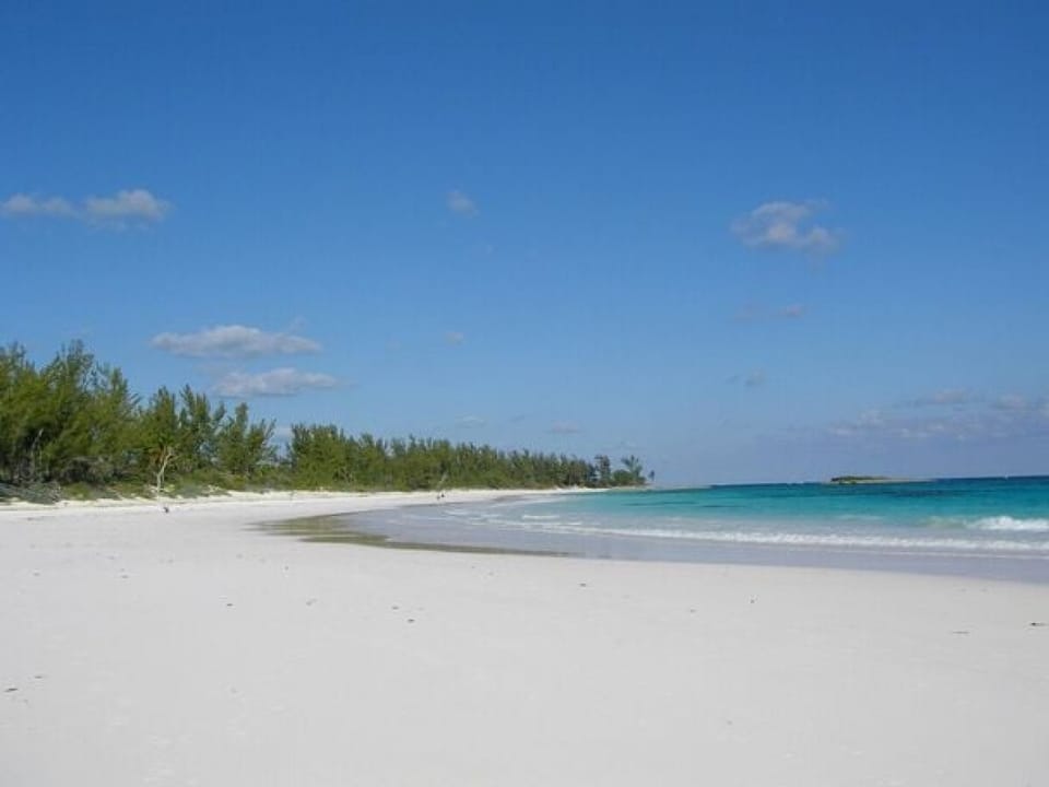 French Leave Beach