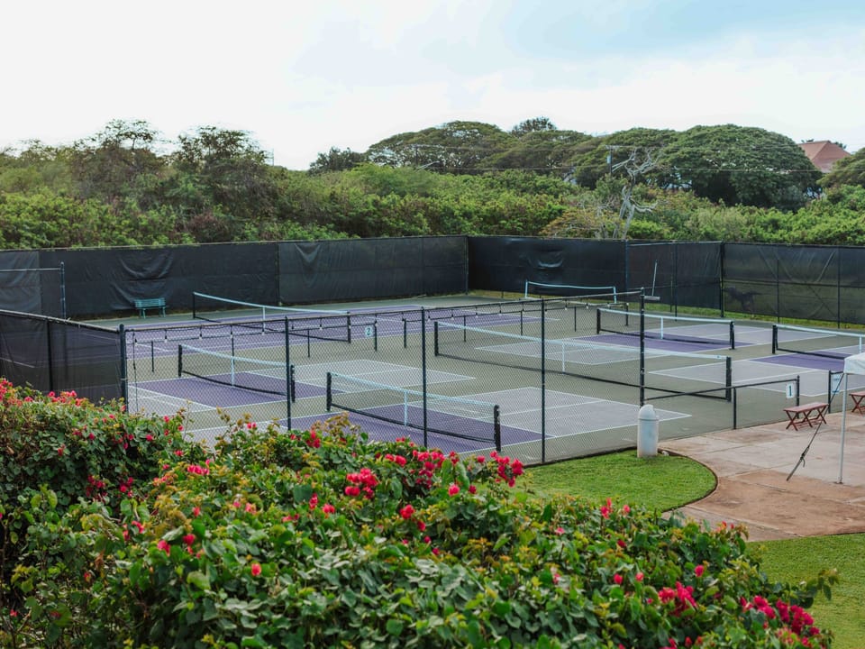 Athletic Club Pickleball Courts