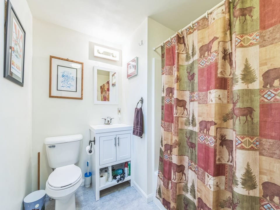 Curtain