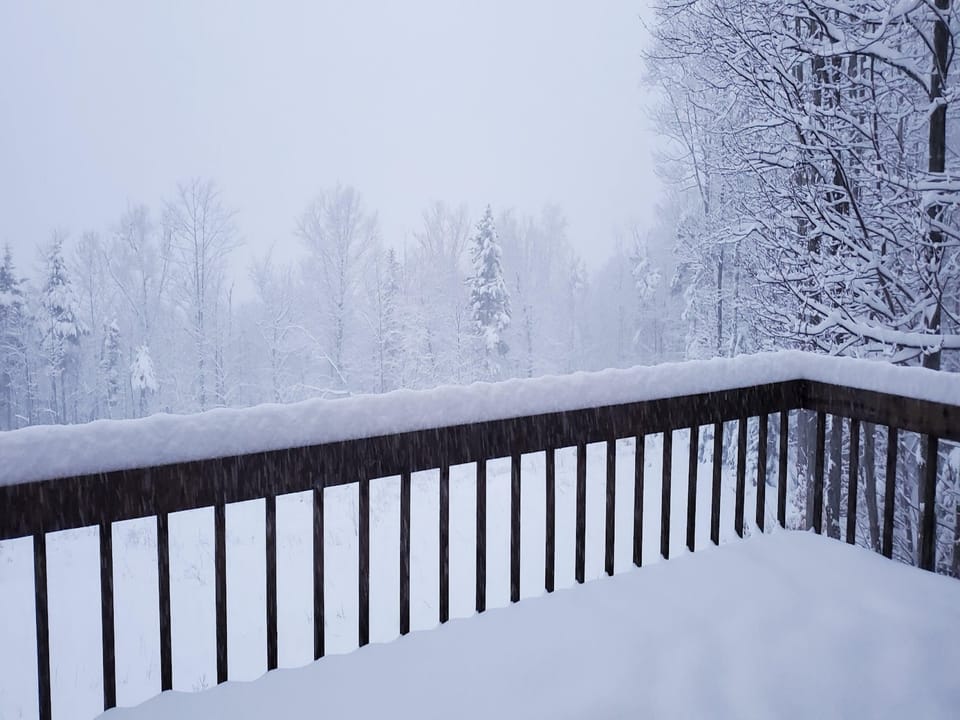 Winter Storm from the warmth of the living room