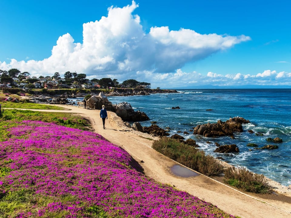 Pacific Grove / Recreation Trail