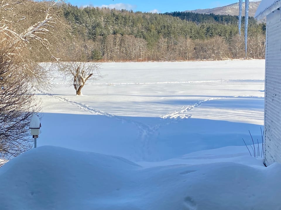 Enjoy peaceful views from the back porch just minutes from world-class skiing and winter adventures
