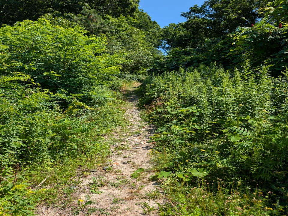Beach Access