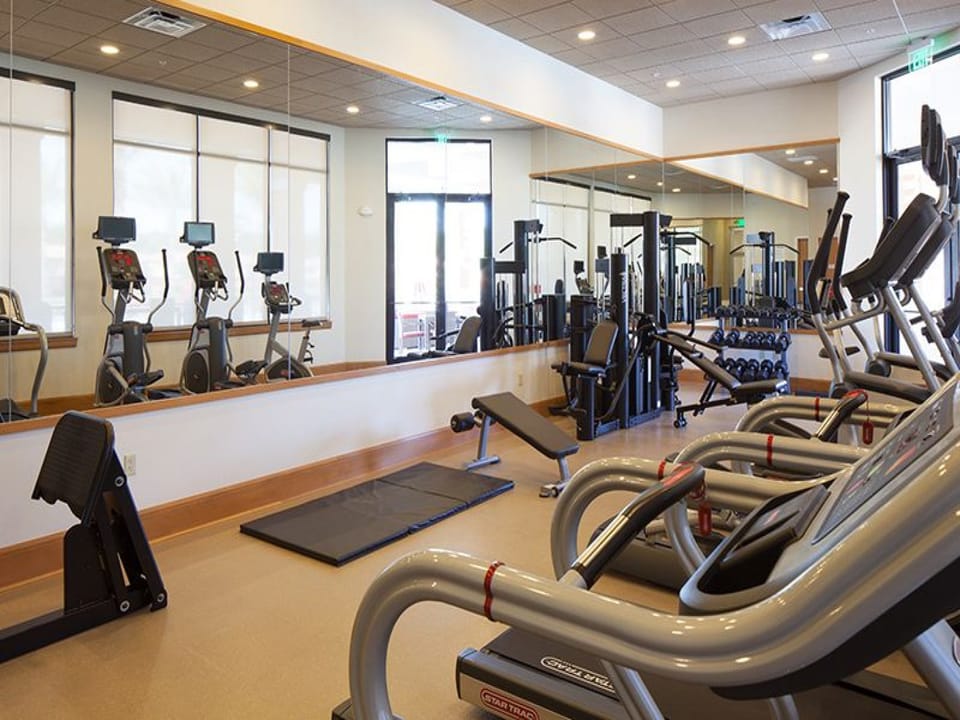 Fully equipped fitness center with state-of-the-art gym equipment.