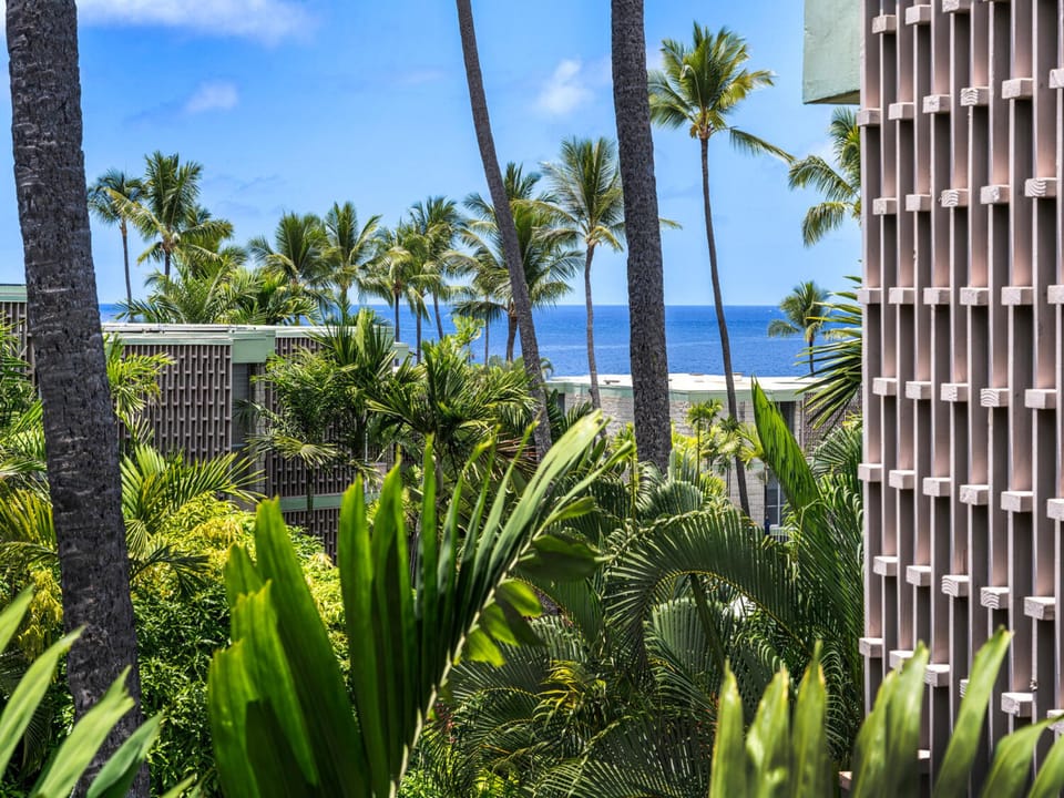 Ocean Views!