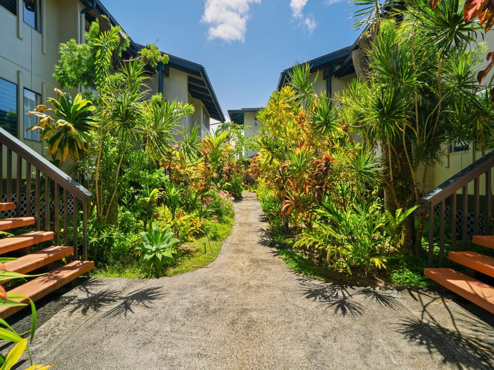 Beautiful palms and foliage throughout the complex