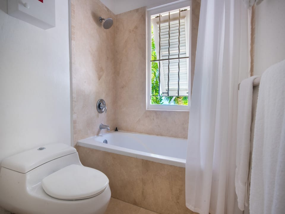 Waverly House - Master bathroom