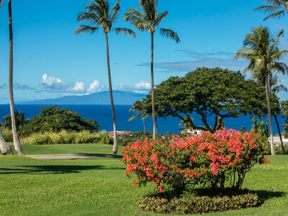 Ocean views at Wailea Ekahi