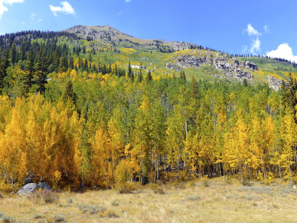Step outside into a world of color — hike straight from the property into National Forest trails ablaze with fall foliage. (Peak leaf season: late September–early October)
