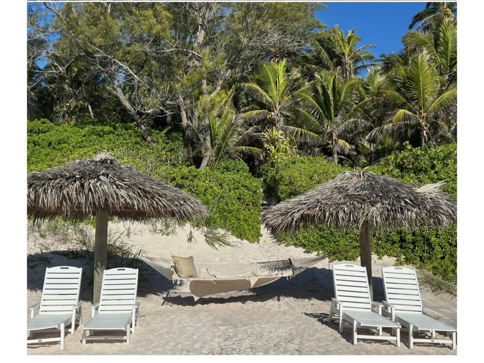 Two thatched beach cabana's, yours and yours alone.
