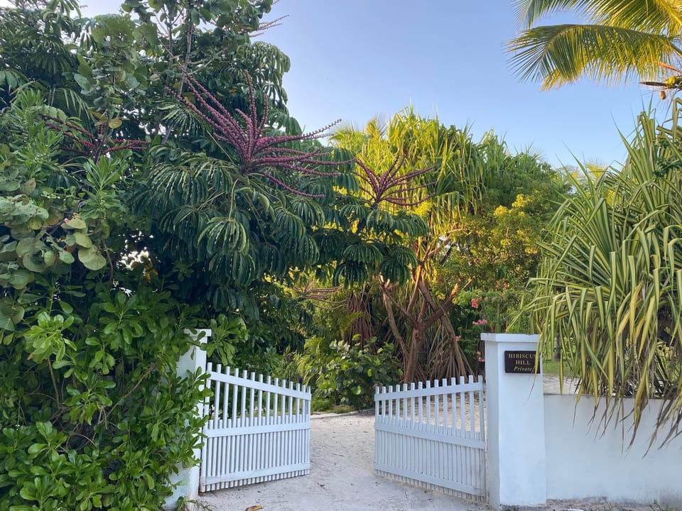 The Guest House gates open, ready to welcome you home