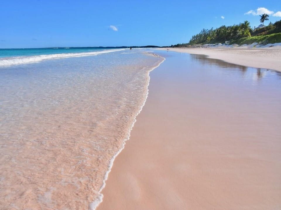 World Famous Pink Sands Beach