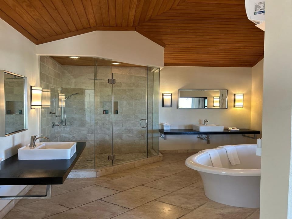 Bathroom with jetted tub and glass enclosed rain shower