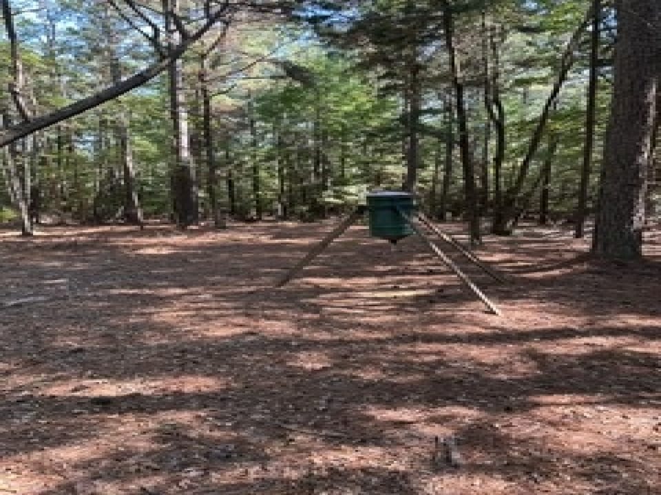 Land