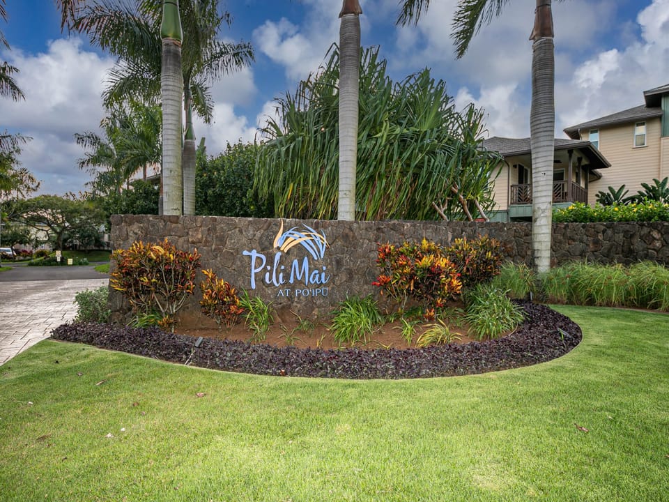 Welcome to Pili Mai