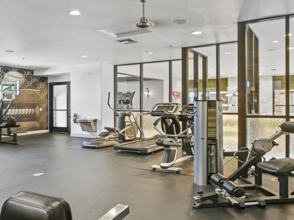 Fitness