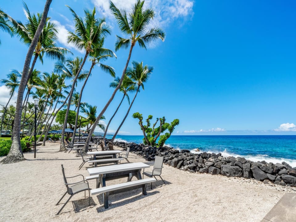 Enjoy your meals on the picnic tables next to the ocean