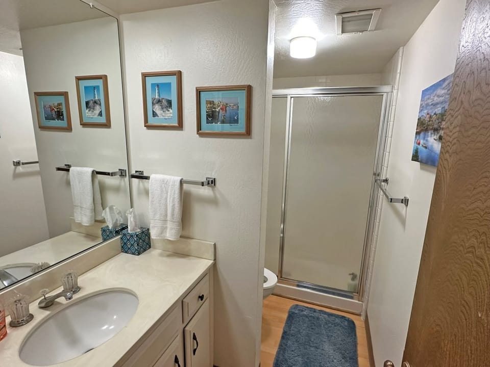 Downstairs Bathroom