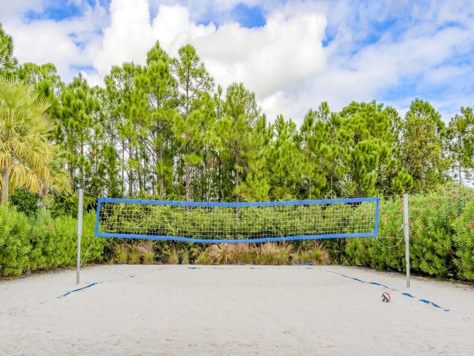 Volleyball