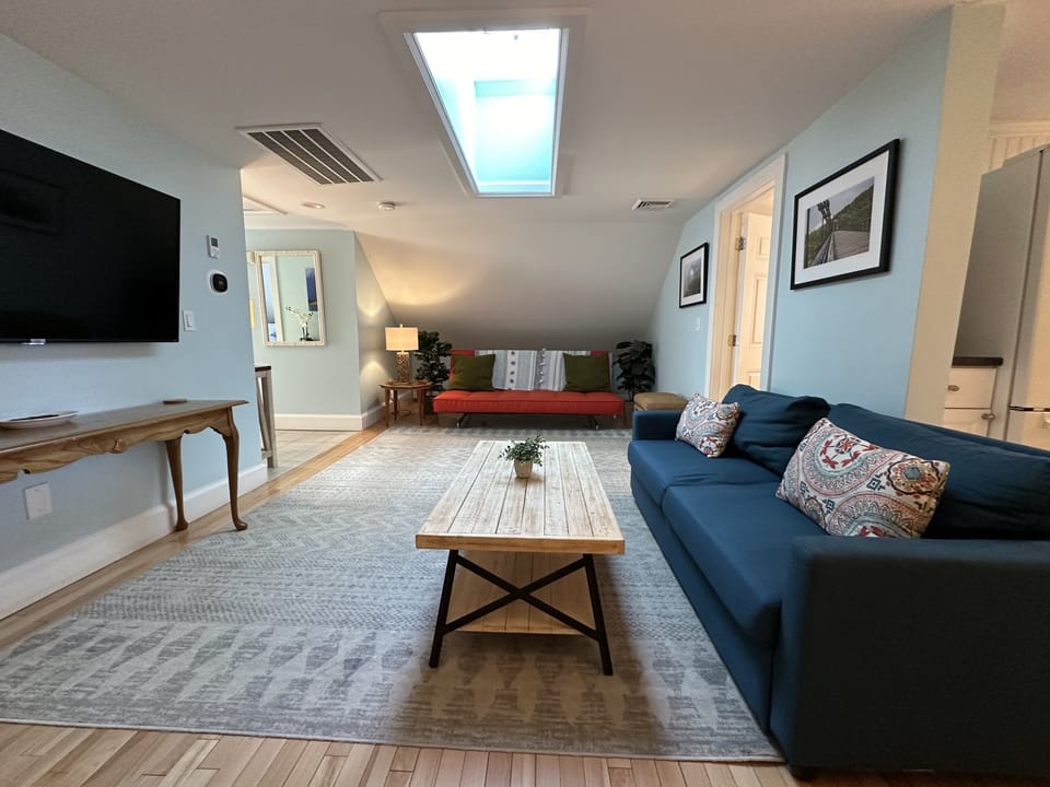 Living Area w Sofa Bed