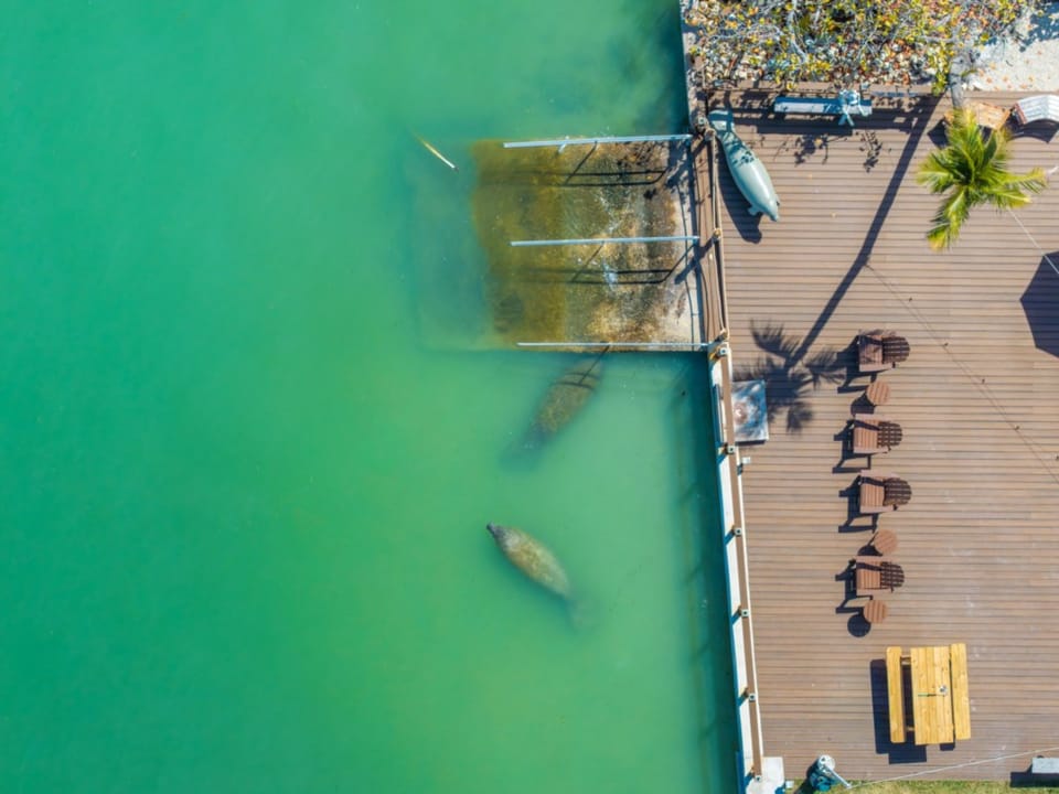 DJI_20260228101152_0675_D_SAP2023