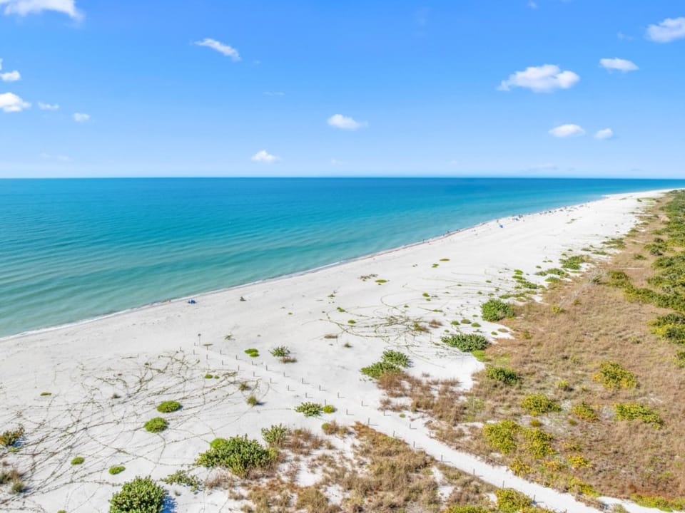 DJI_20260103080312_0235_D_SAP2023