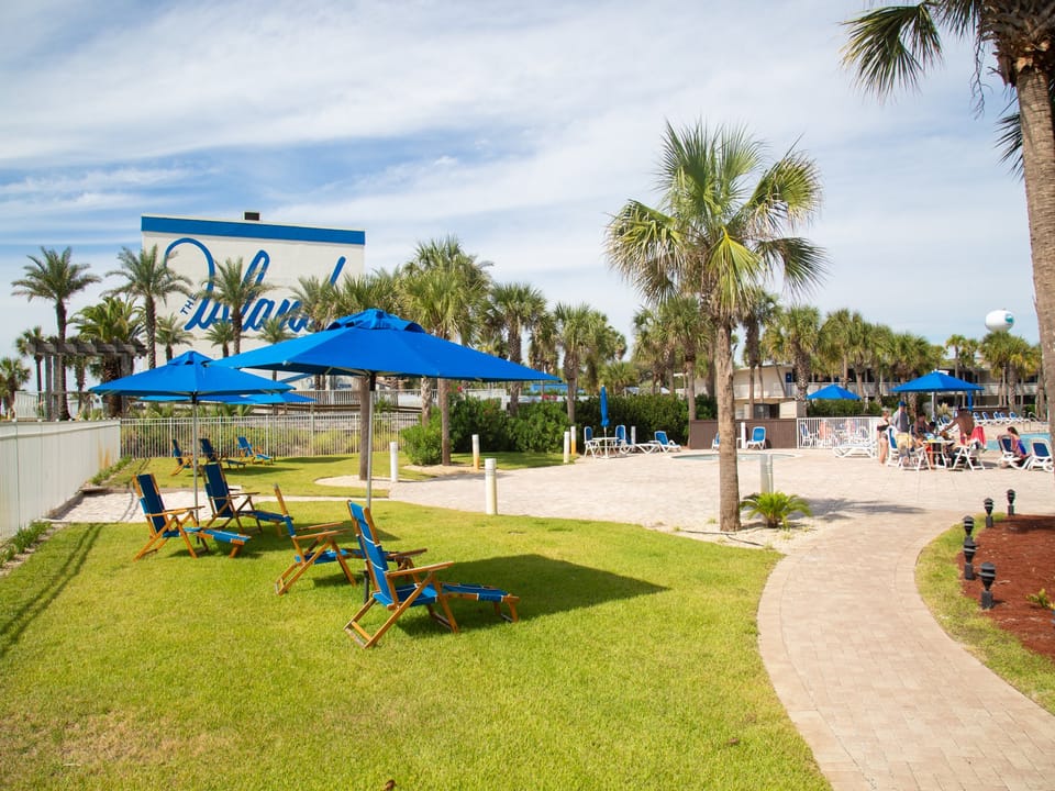 Tropical paradise awaits with palm-lined relaxation areas featuring comfortable beach chairs and shaded spots perfect for your sunny getaway.